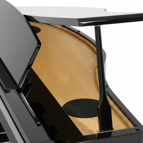 Цифровой рояль PIANOVA RG-110 Polish Black